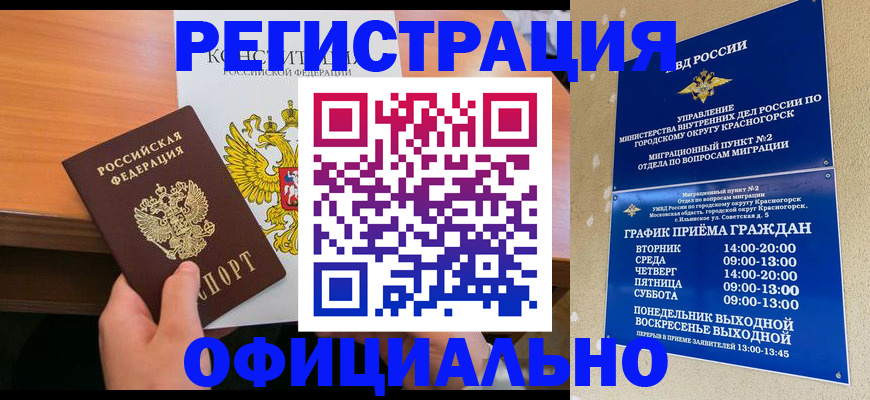 временная регистрация для всех в Светлогорске